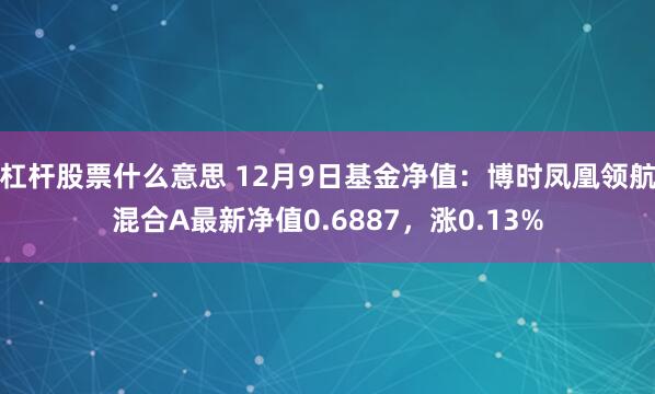 杠杆股票什么意思 12月9日基金净值：博时凤凰领航混合A最新净值0.6887，涨0.13%