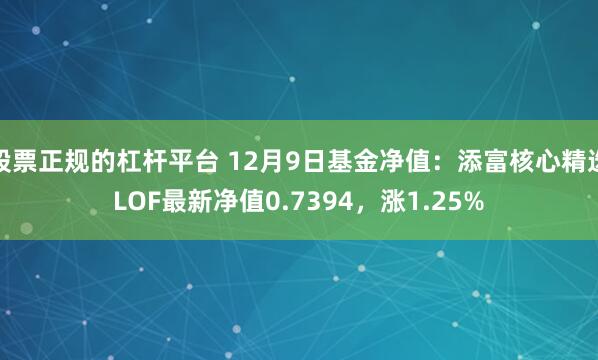 股票正规的杠杆平台 12月9日基金净值：添富核心精选LOF最新净值0.7394，涨1.25%