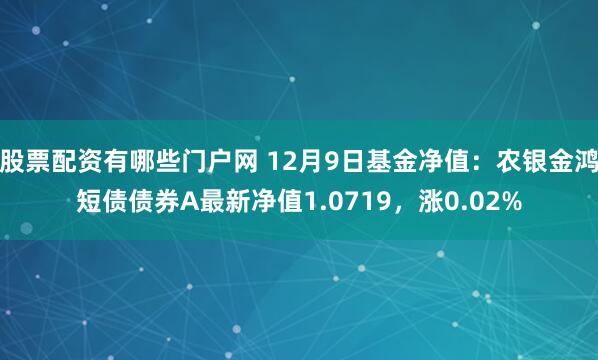 股票配资有哪些门户网 12月9日基金净值：农银金鸿短债债券A最新净值1.0719，涨0.02%