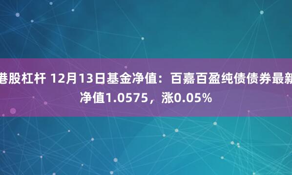 港股杠杆 12月13日基金净值：百嘉百盈纯债债券最新净值1.0575，涨0.05%