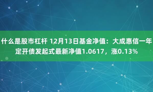 什么是股市杠杆 12月13日基金净值：大成惠信一年定开债发起式最新净值1.0617，涨0.13%