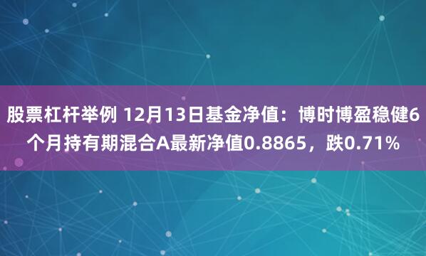 股票杠杆举例 12月13日基金净值：博时博盈稳健6个月持有期混合A最新净值0.8865，跌0.71%