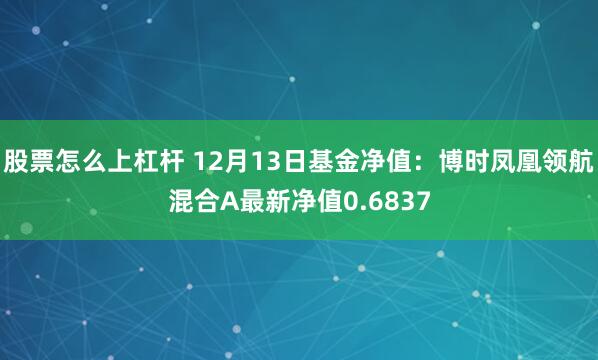 股票怎么上杠杆 12月13日基金净值：博时凤凰领航混合A最新净值0.6837