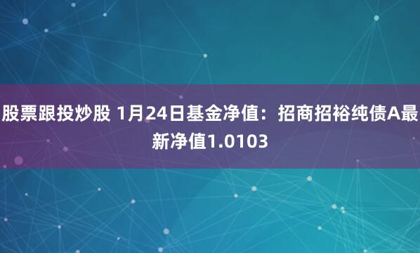 股票跟投炒股 1月24日基金净值：招商招裕纯债A最新净值1.0103