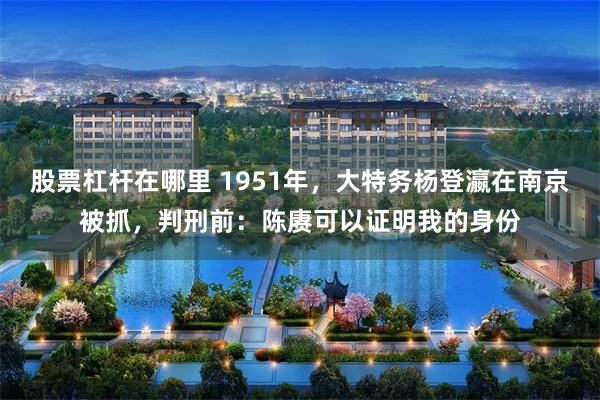 股票杠杆在哪里 1951年,大特务杨登瀛在南京被抓,判刑前:陈赓可以证明我的身份