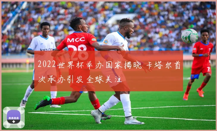 2022世界杯举办国家揭晓 卡塔尔首次承办引发全球关注