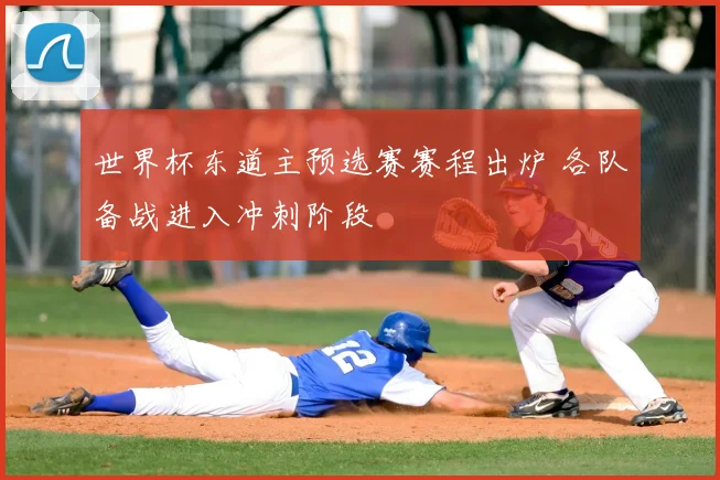 世界杯东道主预选赛赛程出炉 各队备战进入冲刺阶段