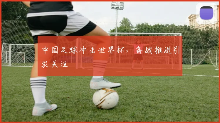 中国足球冲击世界杯，备战推进引发关注